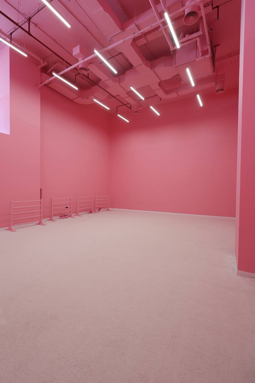 Upload a Pink Academy carousel photograph